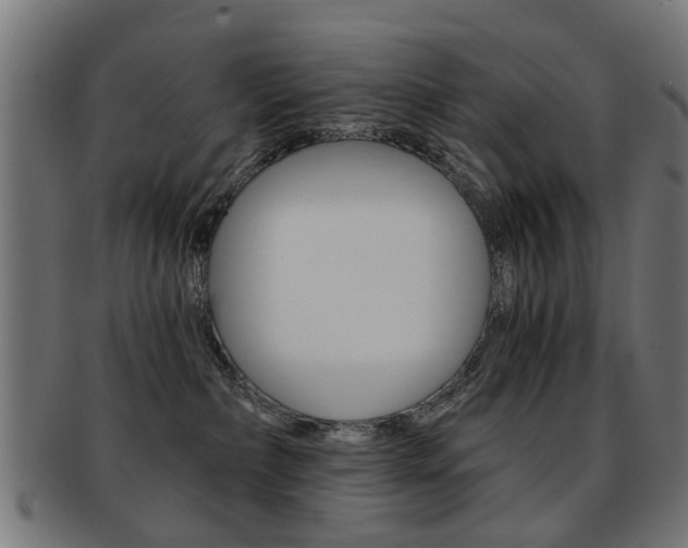 X0000091900236200709051110