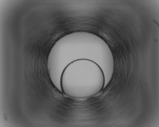 X0000091900237200709051110