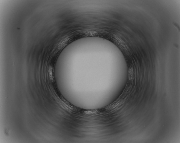 X0000091900238200709051110