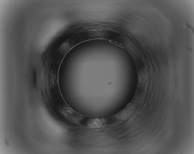 X0000091900239200709051110