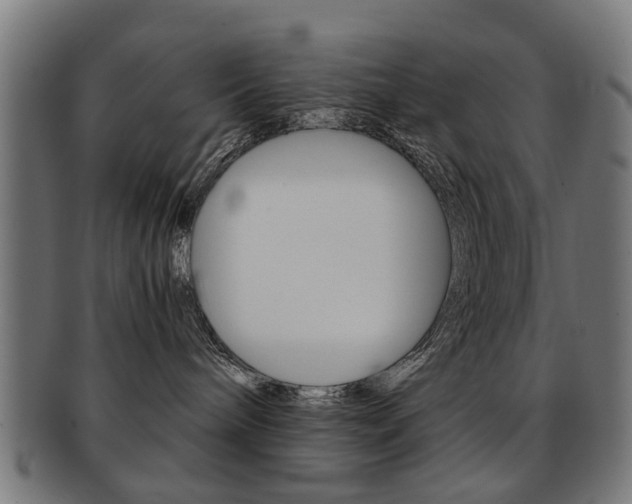 X0000091900240200709051110