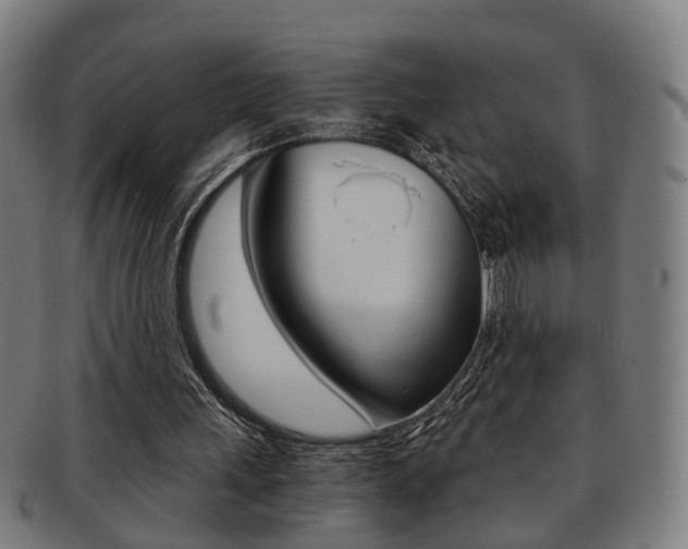 X0000091900243200709051109