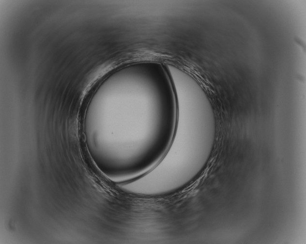 X0000091900244200709051109