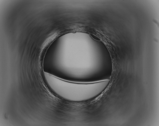 X0000091900245200709051109