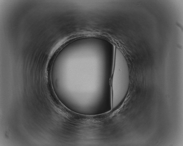 X0000091900246200709051109