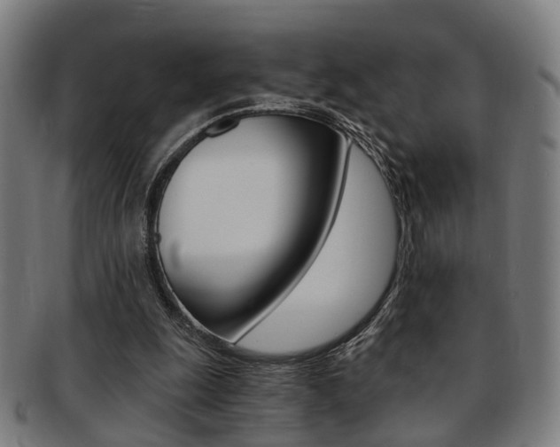 X0000091900247200709051109