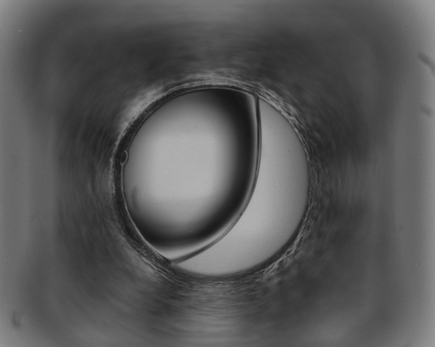 X0000091900248200709051109
