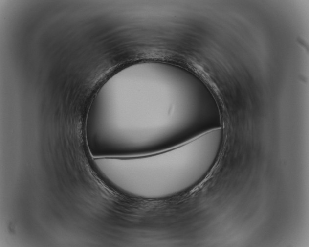 X0000091900249200709051109