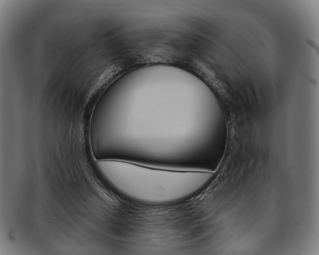 X0000091900250200709051109