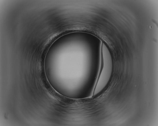X0000091900252200709051109