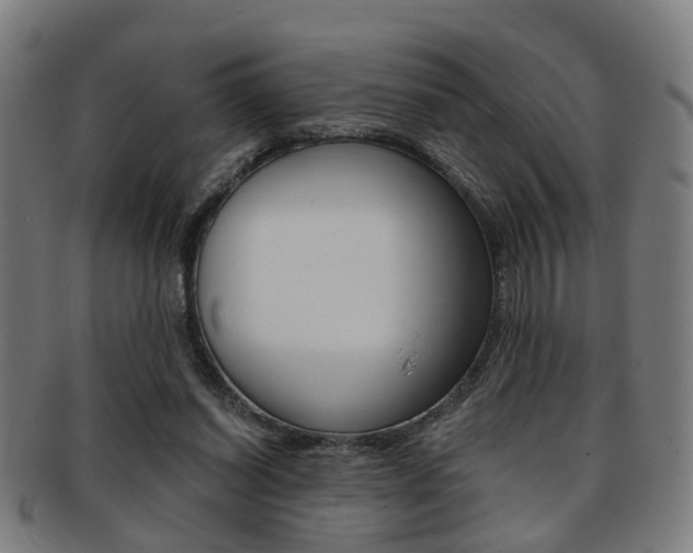 X0000091900254200709051109