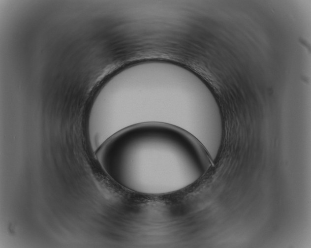 X0000091900256200709051109