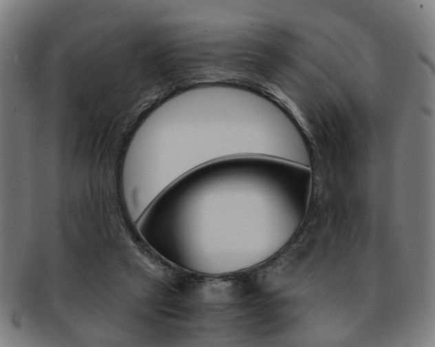 X0000091900257200709051109