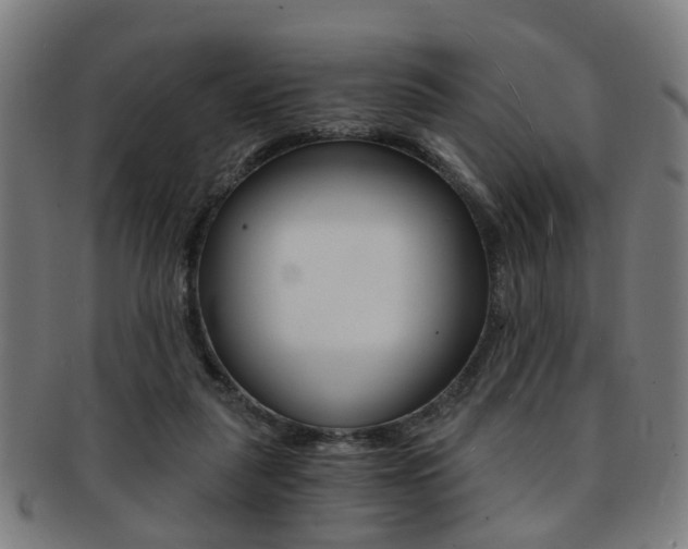 X0000091900259200709051109