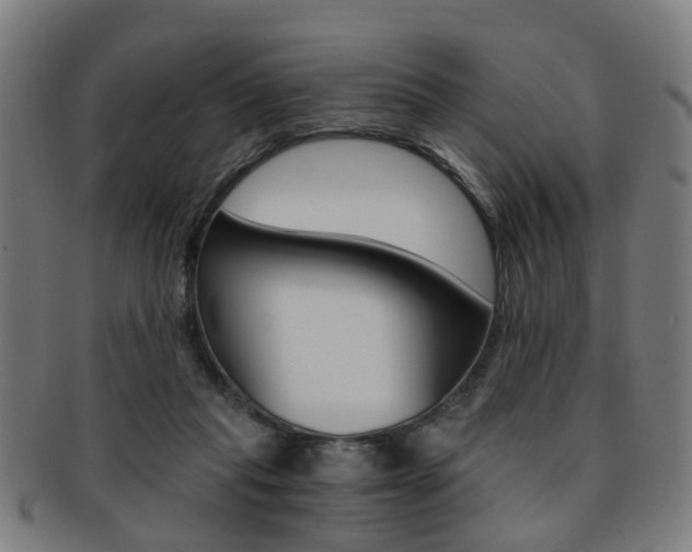 X0000091900261200709051109