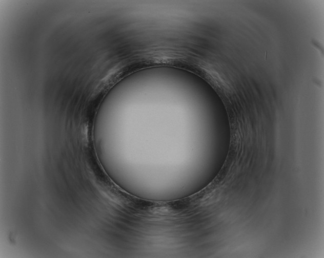 X0000091900262200709051109