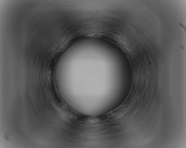 X0000091900263200709051109