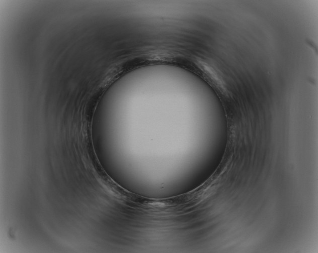 X0000091900265200709051109