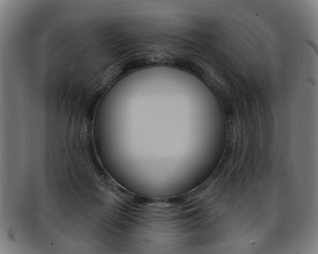 X0000091900266200709051109