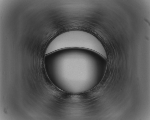 X0000091900268200709051109