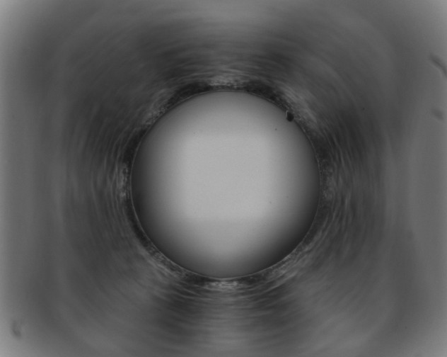 X0000091900273200709051109