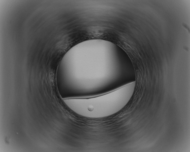 X0000091900274200709051109