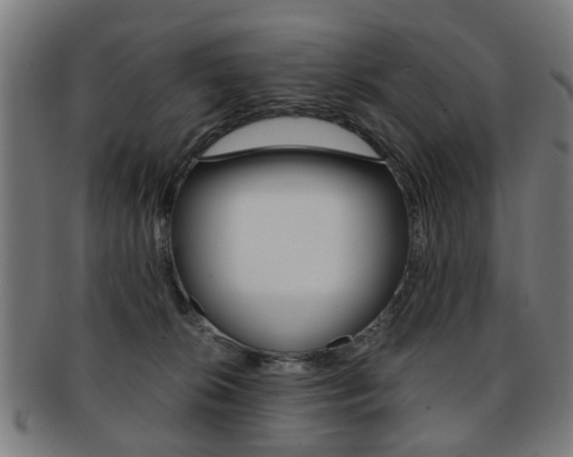 X0000091900276200709051109