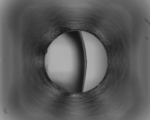 X0000091900277200709051109