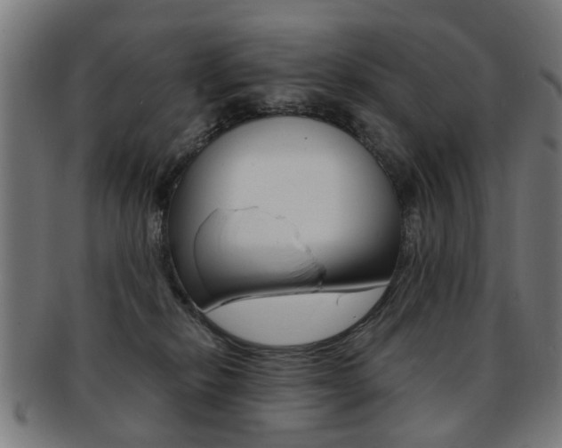 X0000091900278200709051109