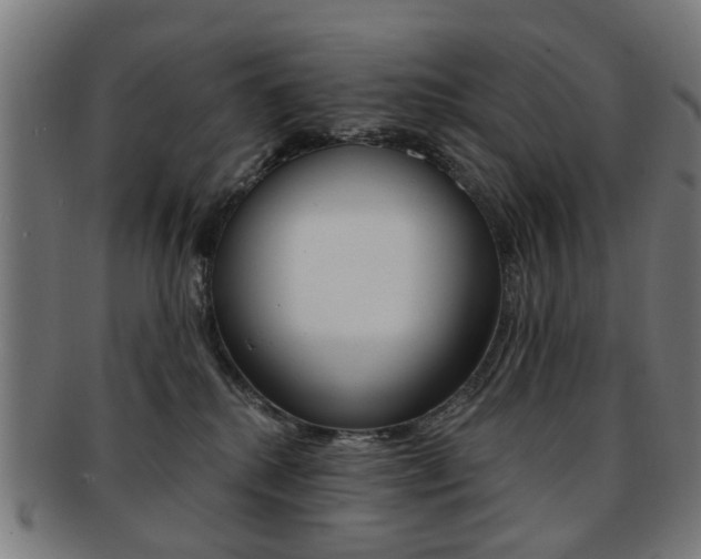 X0000091900280200709051109