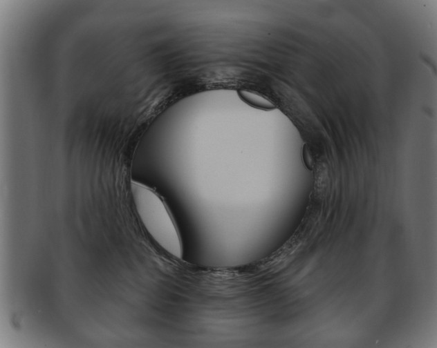X0000091900282200709051109