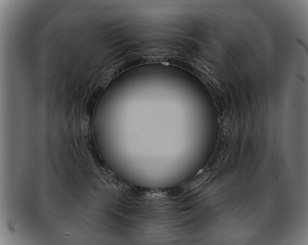 X0000091900283200709051109