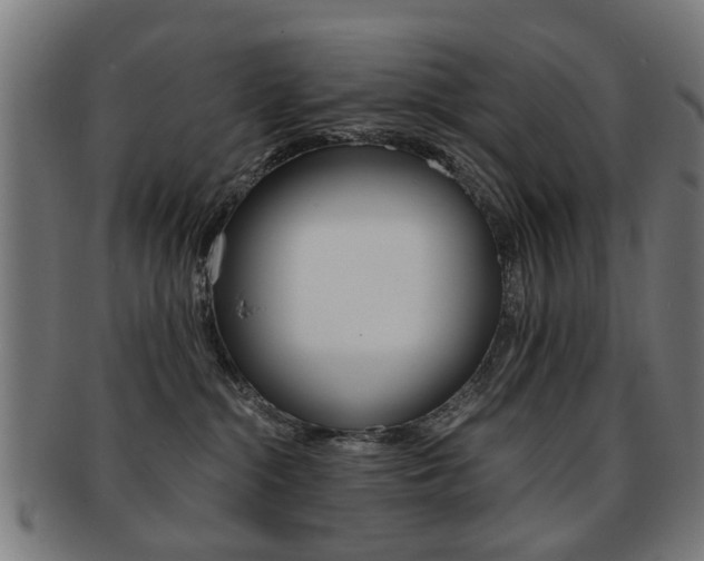 X0000091900284200709051110