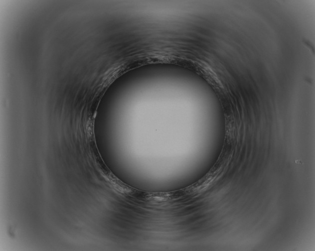 X0000091900285200709051110