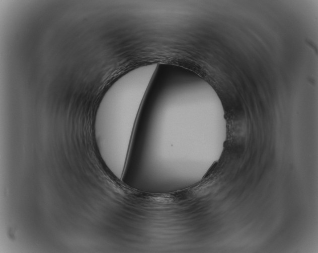 X0000091900286200709051110