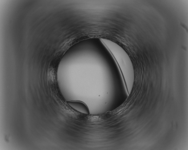 X0000091900287200709051110