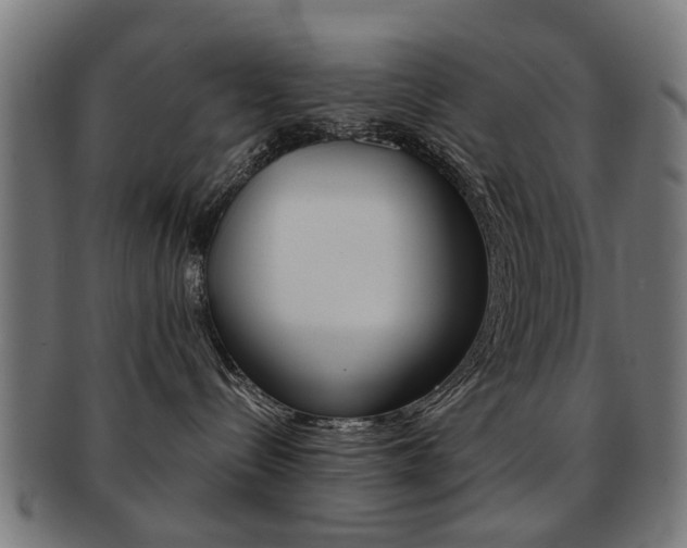 X0000091900288200709051110