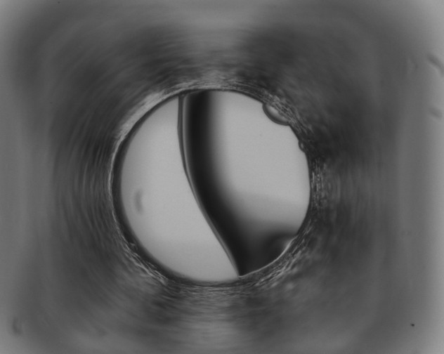 X0000091900292200709051109