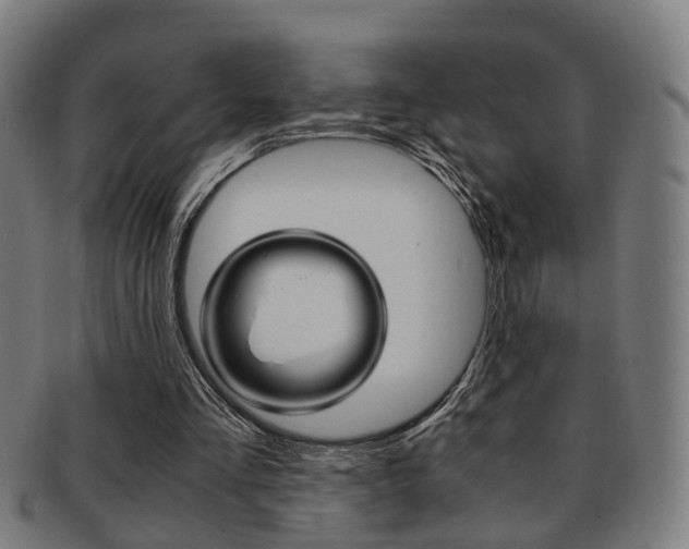 X0000091900293200709051109