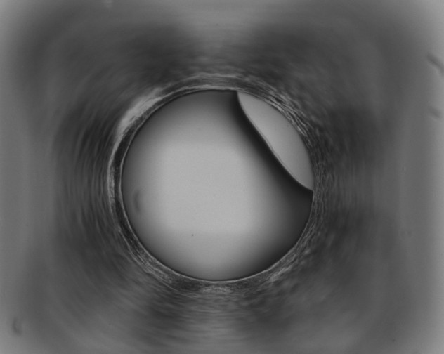 X0000091900294200709051109