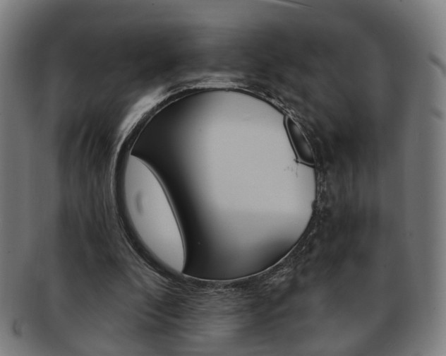 X0000091900296200709051109