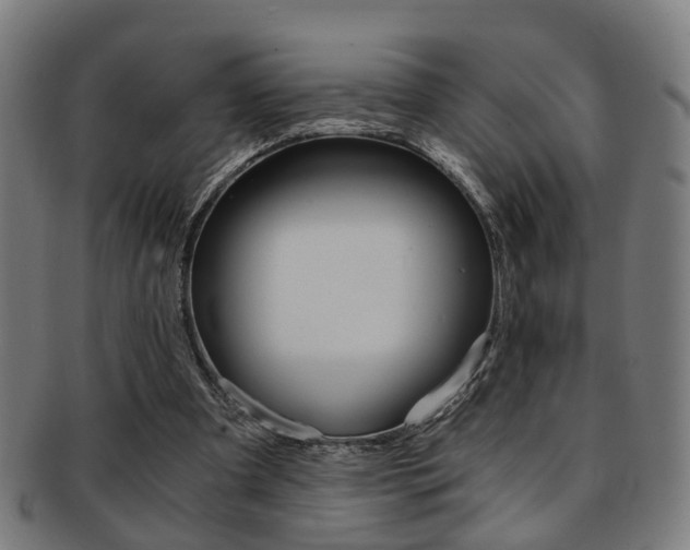 X0000091900297200709051109