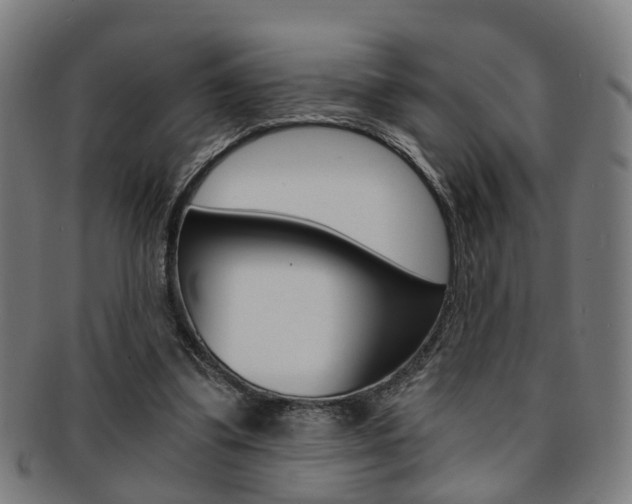 X0000091900299200709051109