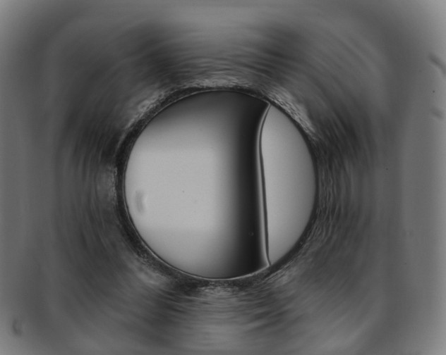 X0000091900300200709051109