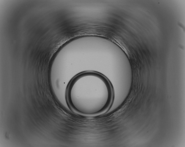 X0000091900301200709051109