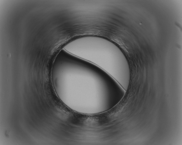 X0000091900303200709051109