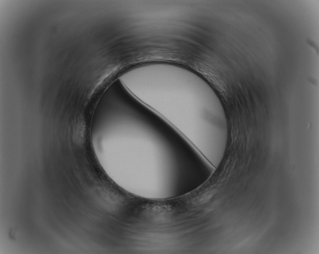 X0000091900304200709051109