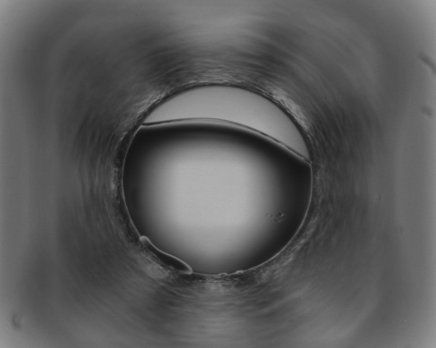 X0000091900305200709051109