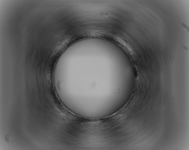 X0000091900306200709051109