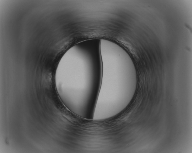 X0000091900308200709051109